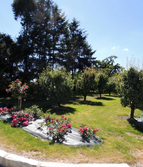 Chance Bed & Breakfast | Les Stiers
