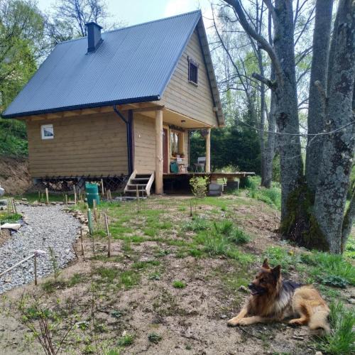 Dwernik Ski Chalet | LESZCZYNOWY STOK