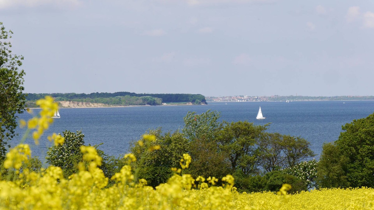 Steinberg House | Let your mind wander by the sea in any wind and weather!