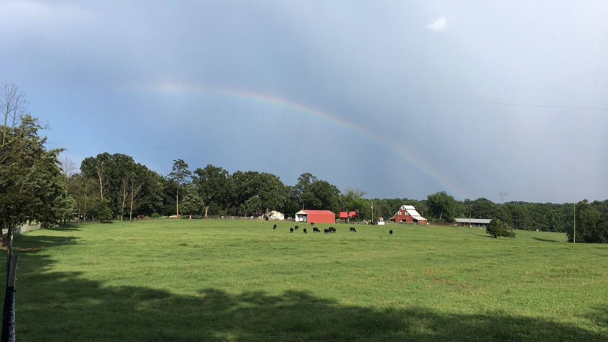 Baldwin House | Life on the farm with Pool! 1+ hour to ATL, Close to great hiking in No GA Mtns