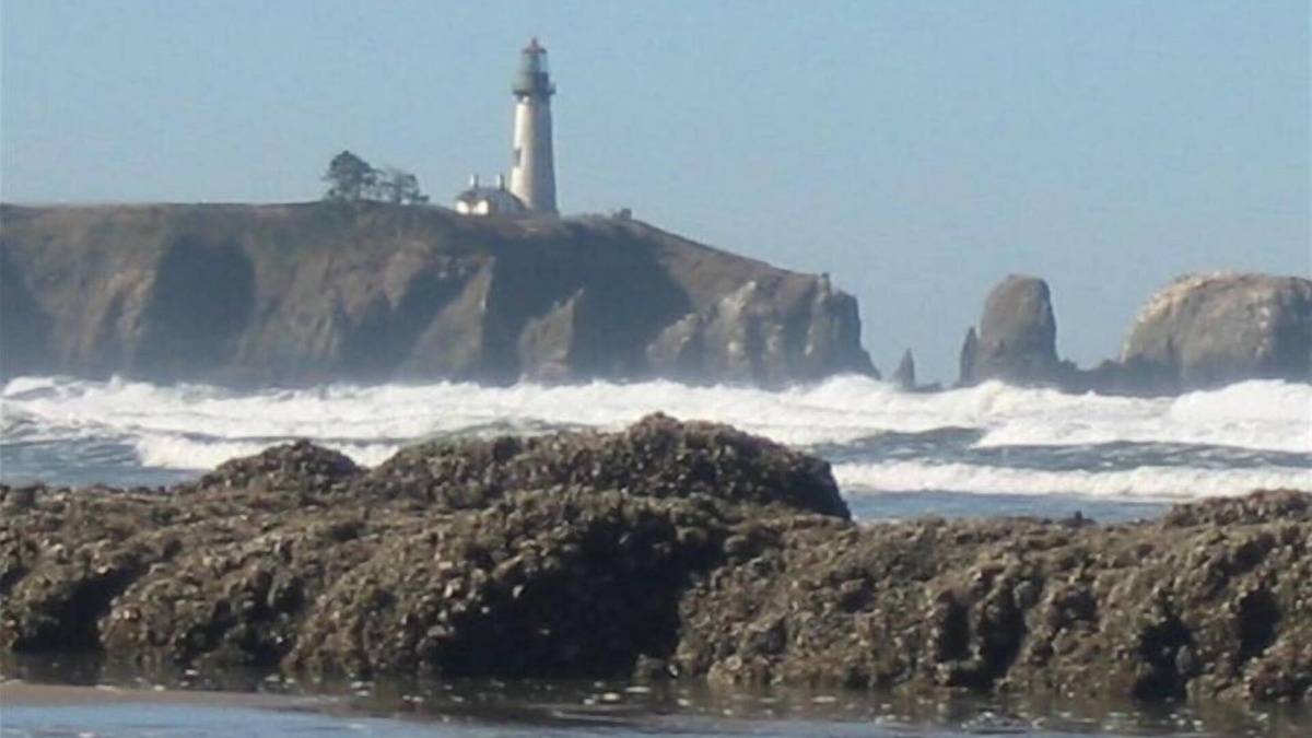 Agate Beach House | Lighthouse and Ocean Views. Ask about Winter Specials!