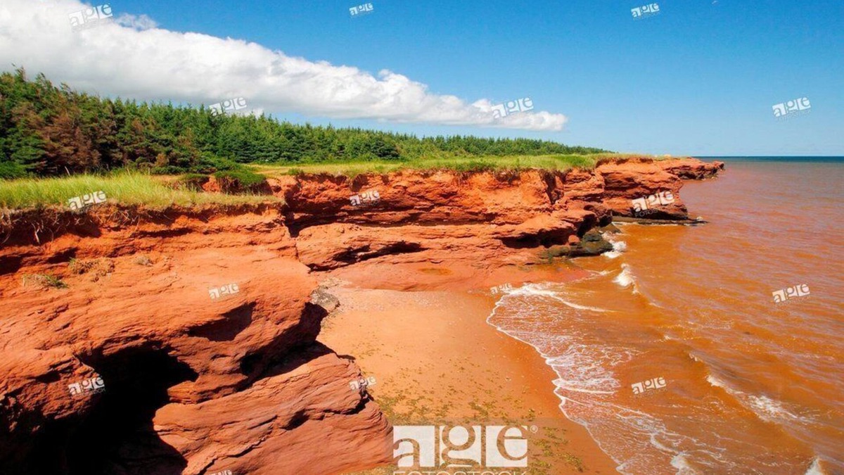 Kildare Capes House | Lighthouse on the cliffs of Kildare Capes, PEI License # 2101229