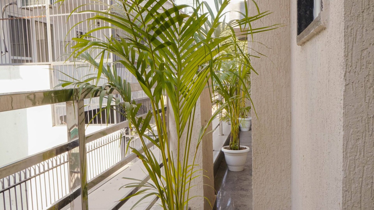 DLF Phase 5 Apartment | Lime Tree 2 Bhk Apartment Golf Course