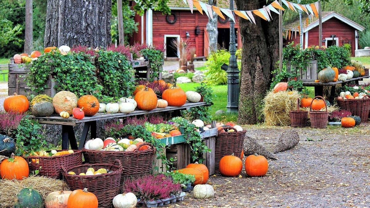 Ina House | Limited Time Offer Happy Halloween AllInclusiv/Ina Nagano