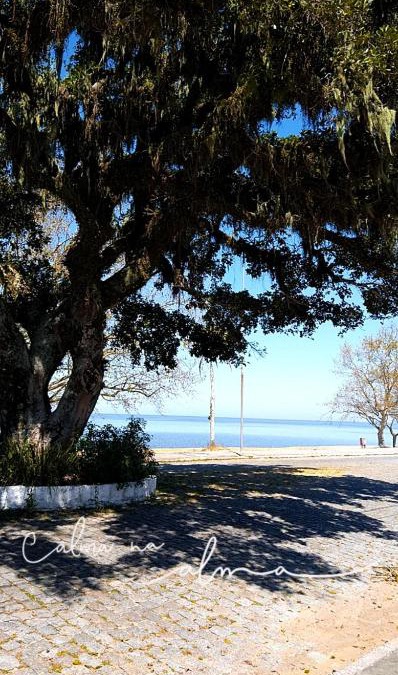 Sao Lourenco do Sul House | Linda casa para temporada em FRENTE A PRAIA em São Lourenço do Sul