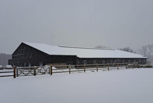 Zolder Apartment | Lindehoeve