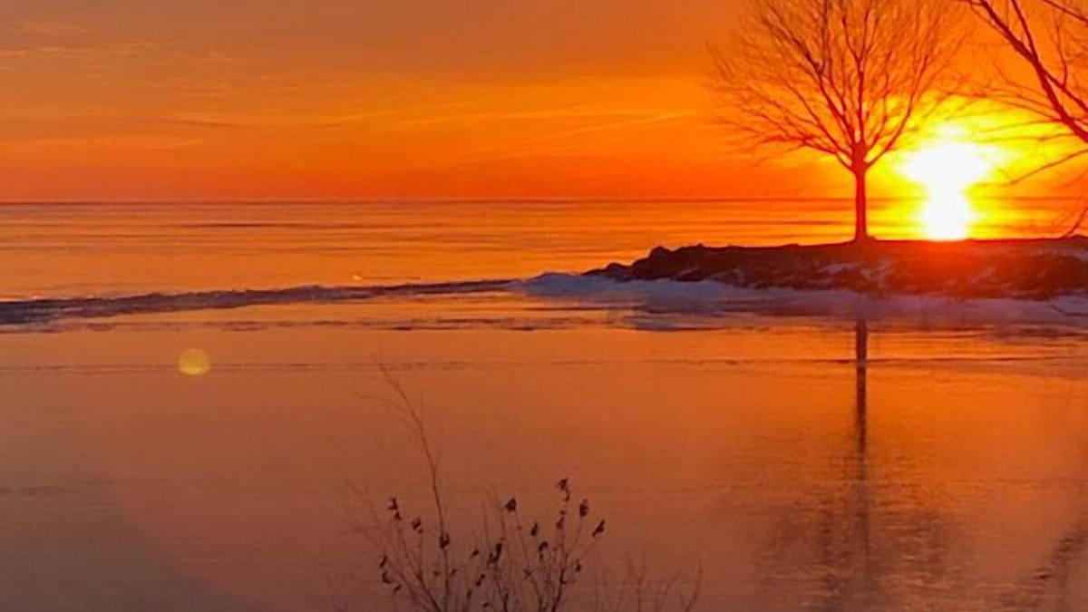 Linwood Apartment | Linwood Vacation Rental Hunt, Fish, Relax in Linwood