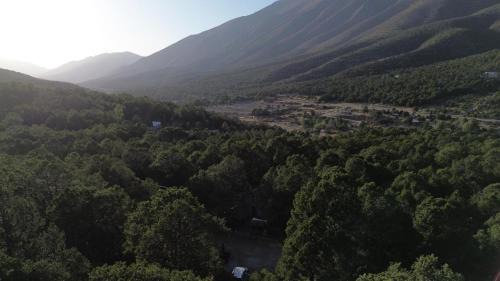 Arteaga Cabin | Lion king cabin woods