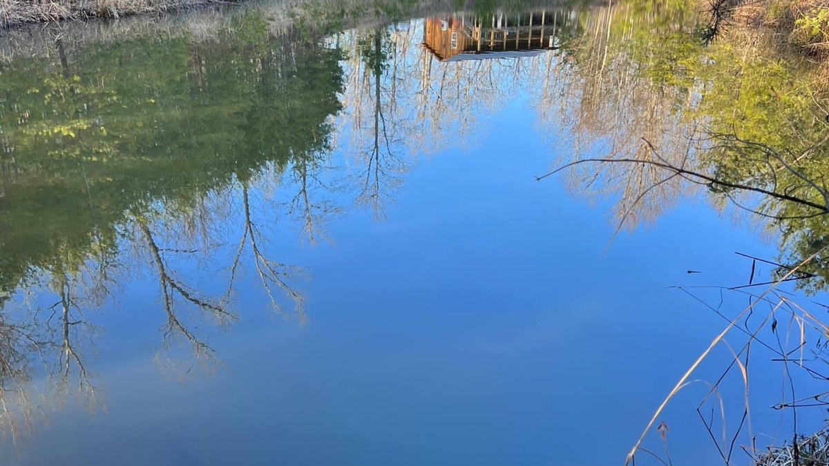 Frenchburg Cabin | Little Bear Cabin @ RRG-Dog Friendly-Hot Tub & Pond!