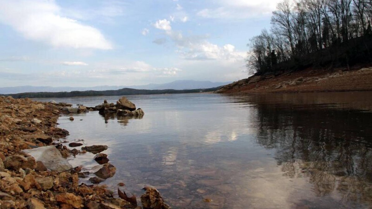 Dandridge Cabin | Little Cabin ~ Rustic, Affordable, Family Friendly - Walking Distance to Lake.