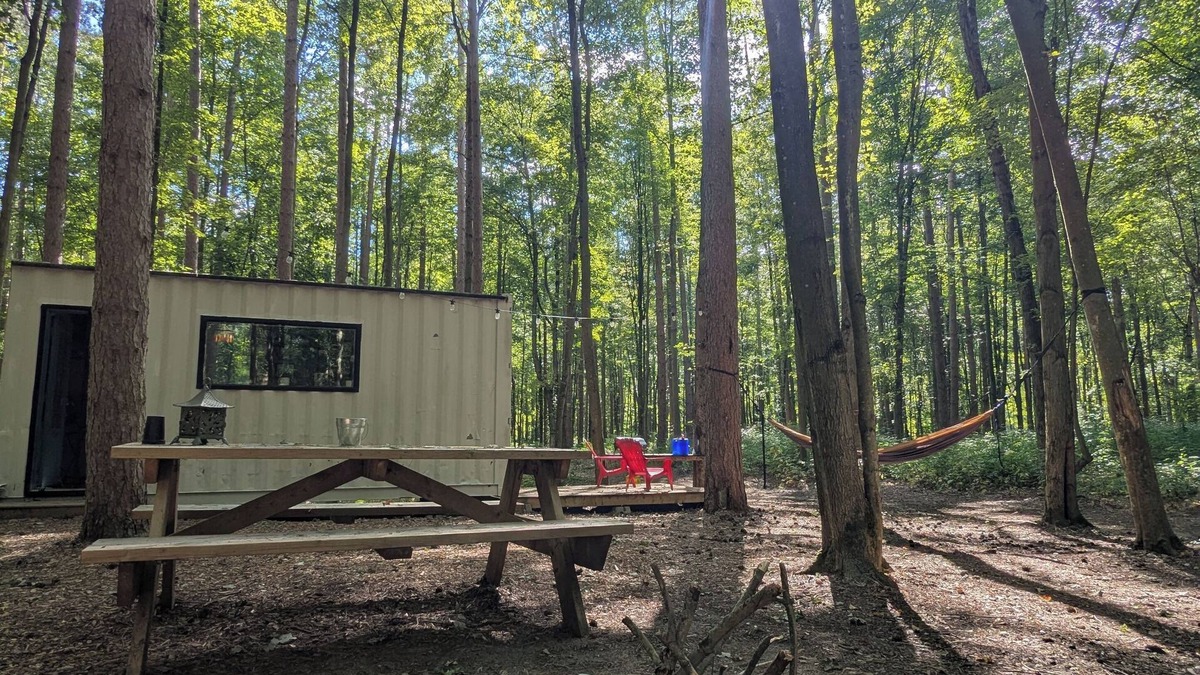 Langton Cabin | Little Can in the Pines - Bunkie No. 2