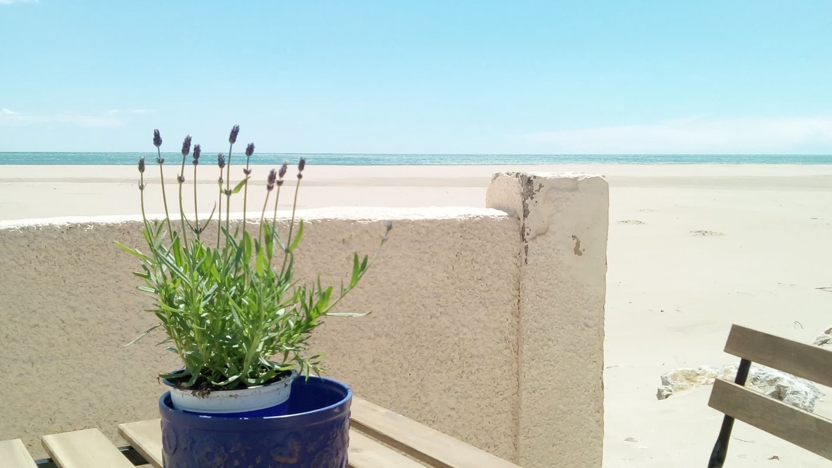 Gruissan Apartment | Little corner of paradise exceptional waterfront location