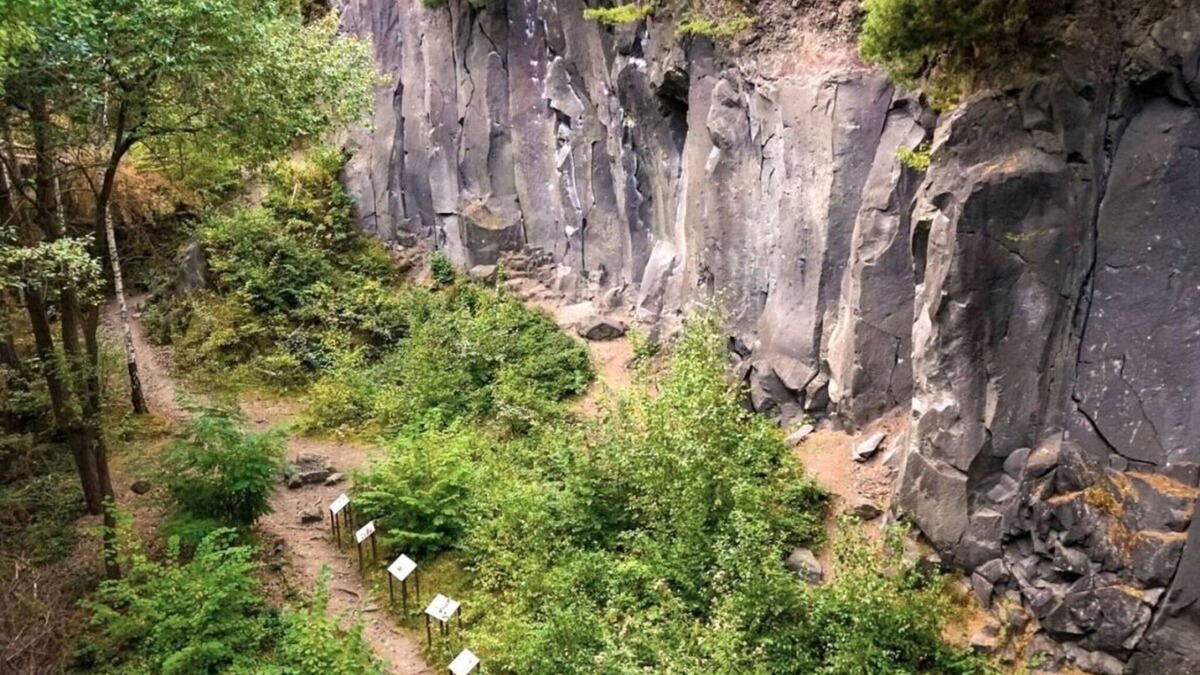 Hambuch Apartment | Little Eifel break Comfortable Vacation Home