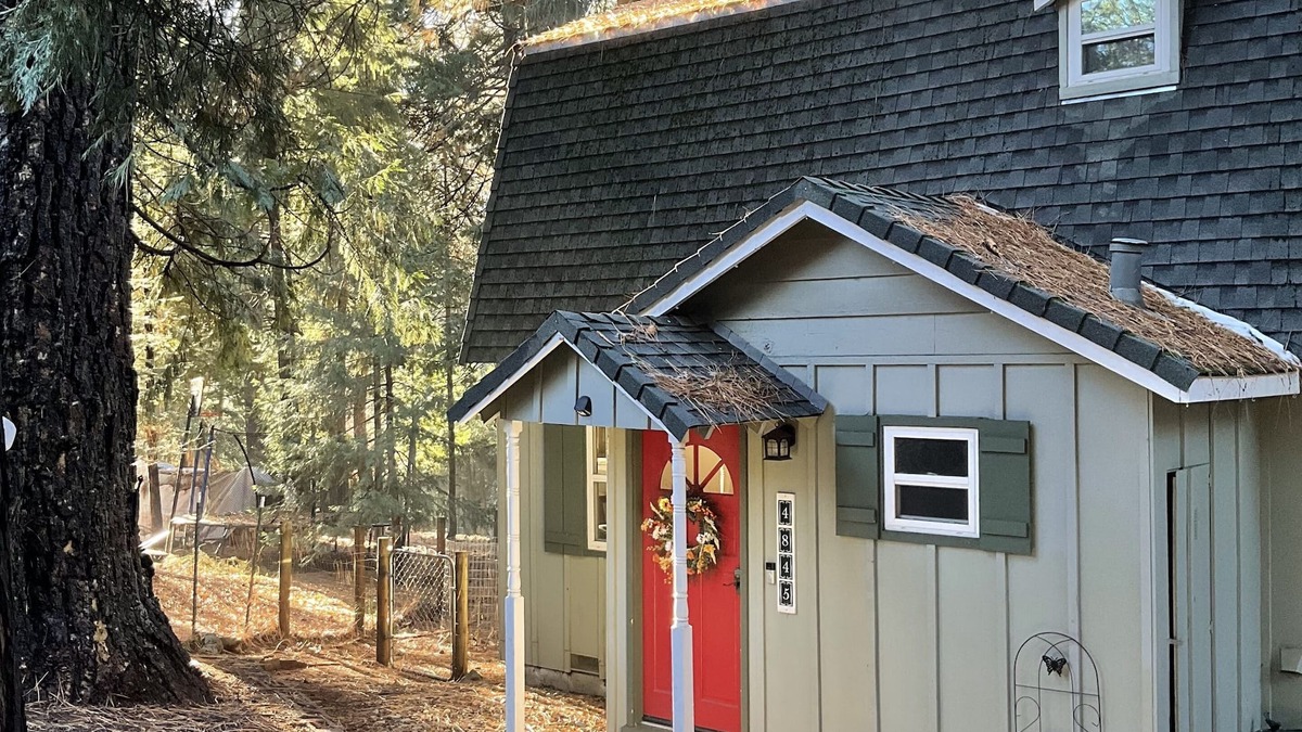 Placerville Cabin | Little Green Cabin by Apple Hill/Sly Park/Wineries/Tahoe/Hiking