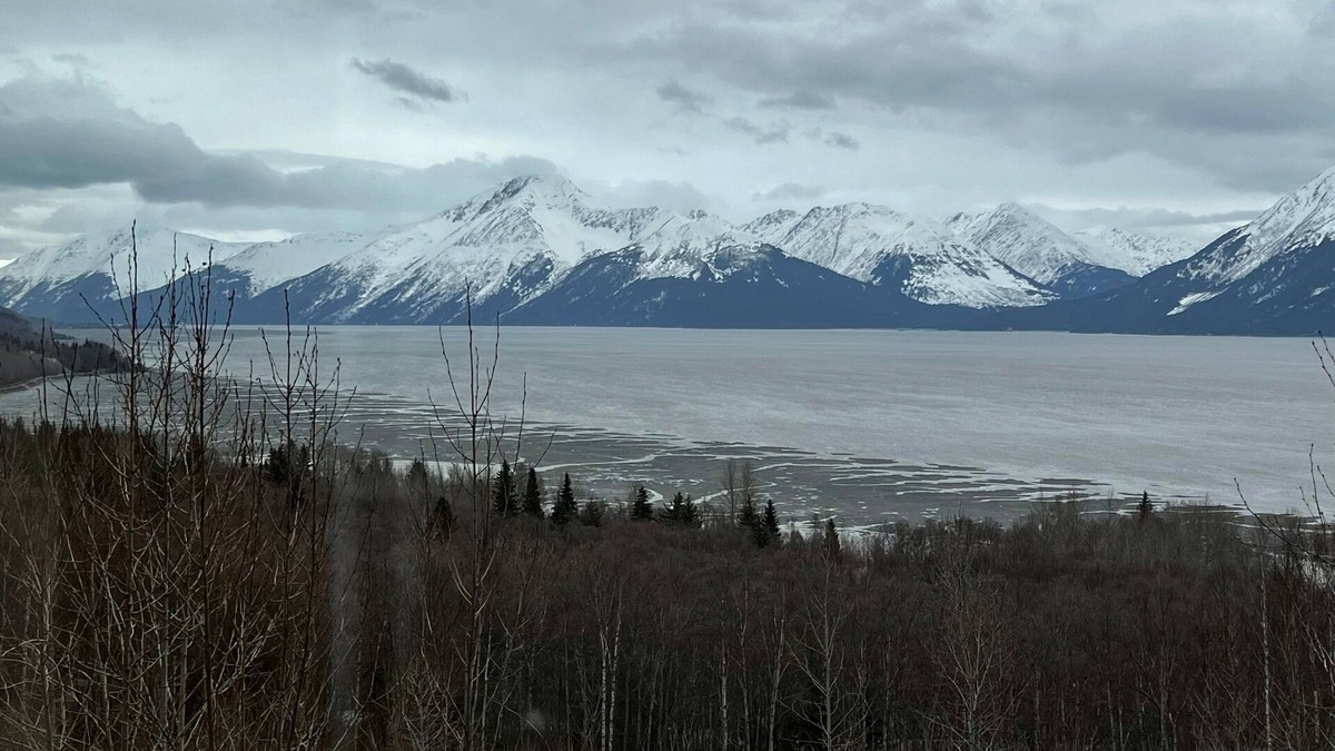 Indian Apartment | Little Indian nest #4