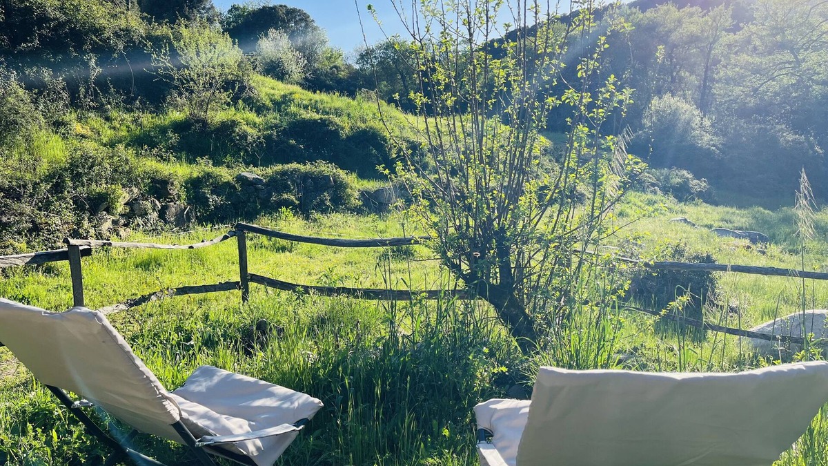 Olivese Ski Chalet | LITTLE QUIET CORNER FOR NATURE LOVERS .