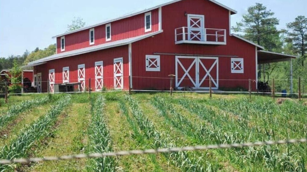 Bynum Other | Live the farm life!