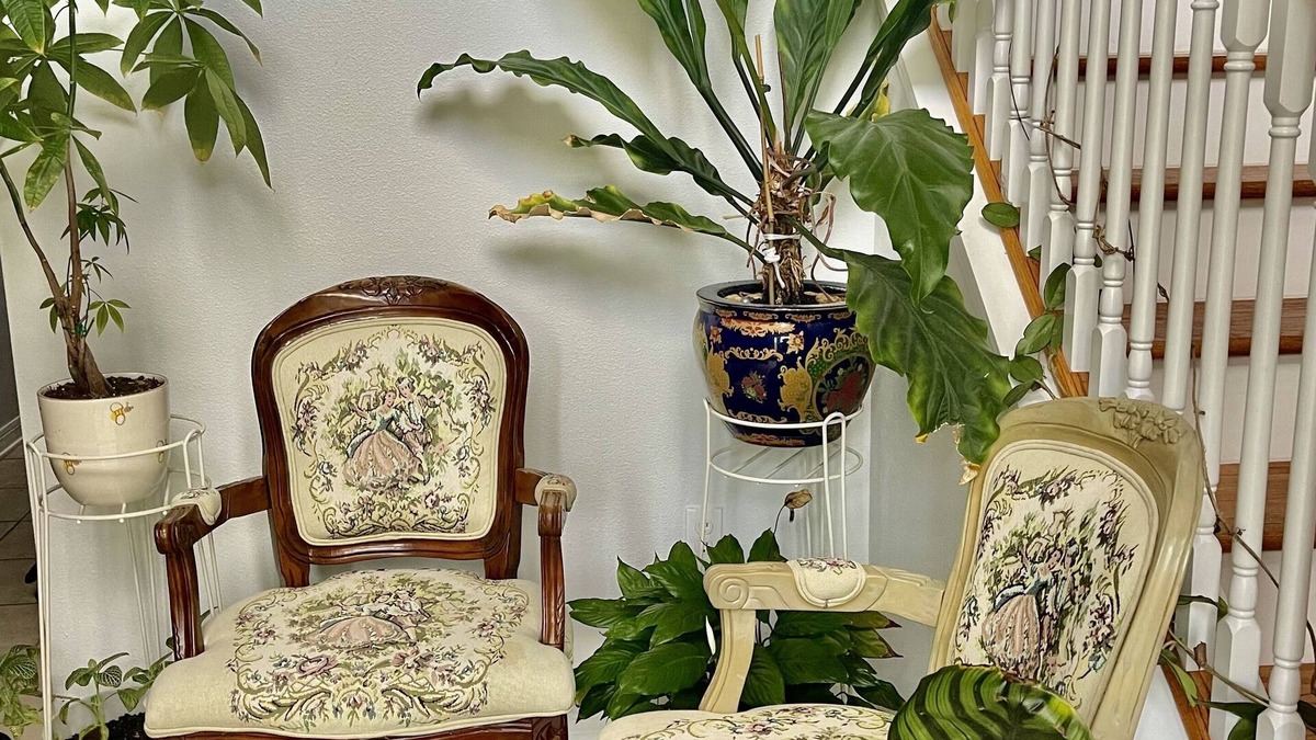 Lakeland House | LKLD Homecation b/w Orlando and Tampa airports, theme parks/recreational parks.