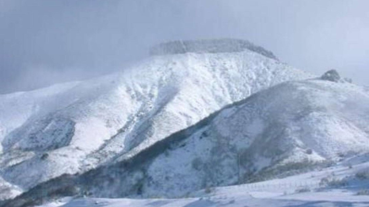 San Salvador de Cantamuda House | Llosa, Complete House