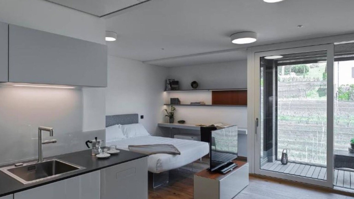 Stabio Apartment | Lo Scudo di Stabio - 35 m² vineyard view LST