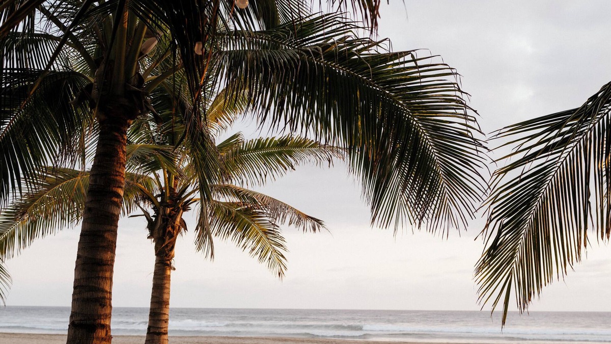 Troncones Hotel | Lo Sereno Casa de Playa