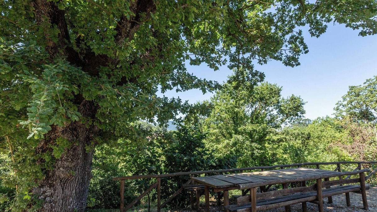 Lioni House | Lo Specchio Di Alice