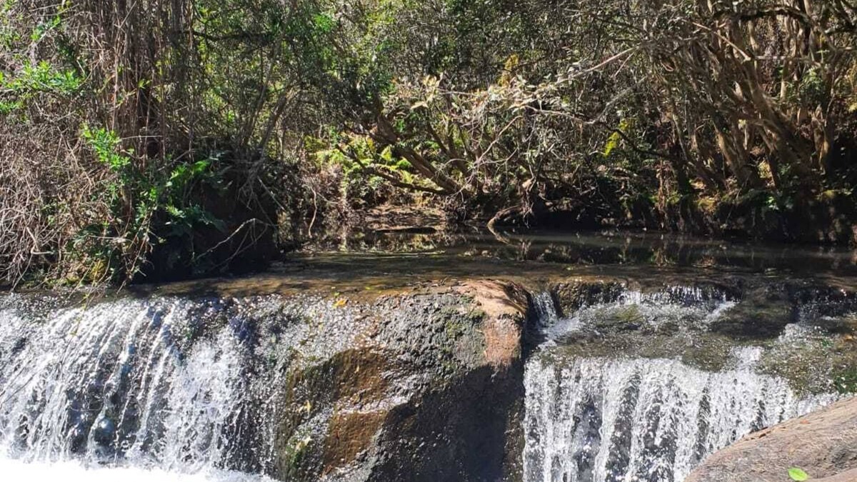 Campos do Jordao Ski Chalet | Locanda Horto Florestal Campos