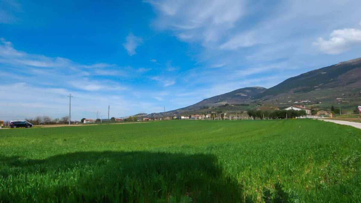 Casenuove Apartment | Located in the Capodacqua district of Assisi, 5 km from Assisi, Casa Fiorelli is a quiet apartment surrounded by nature with a wonderful view that stretches from Assisi to Mount Subasio.Located in a strategic position, it allows to reach in few kilometer