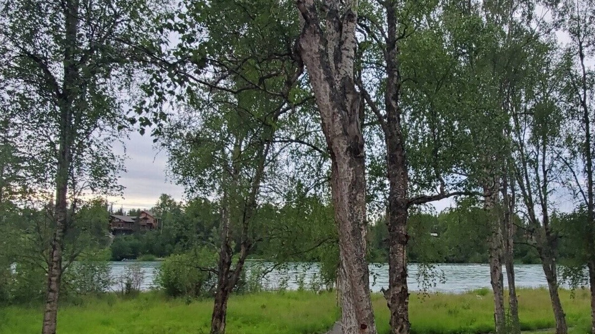 Soldotna House | LOCATED ON THE KENAI RIVER! Kenai River Haven Unit #2.