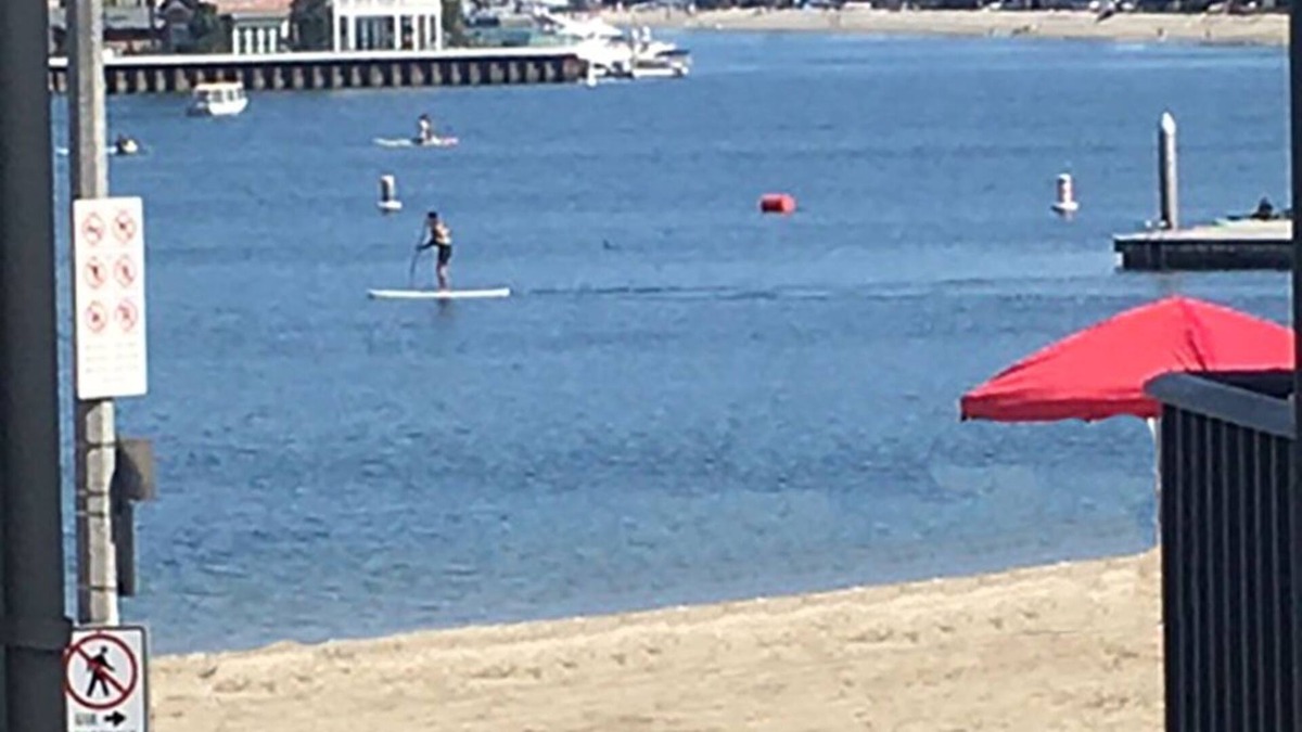 Belmont Shore Apartment | location, location, location