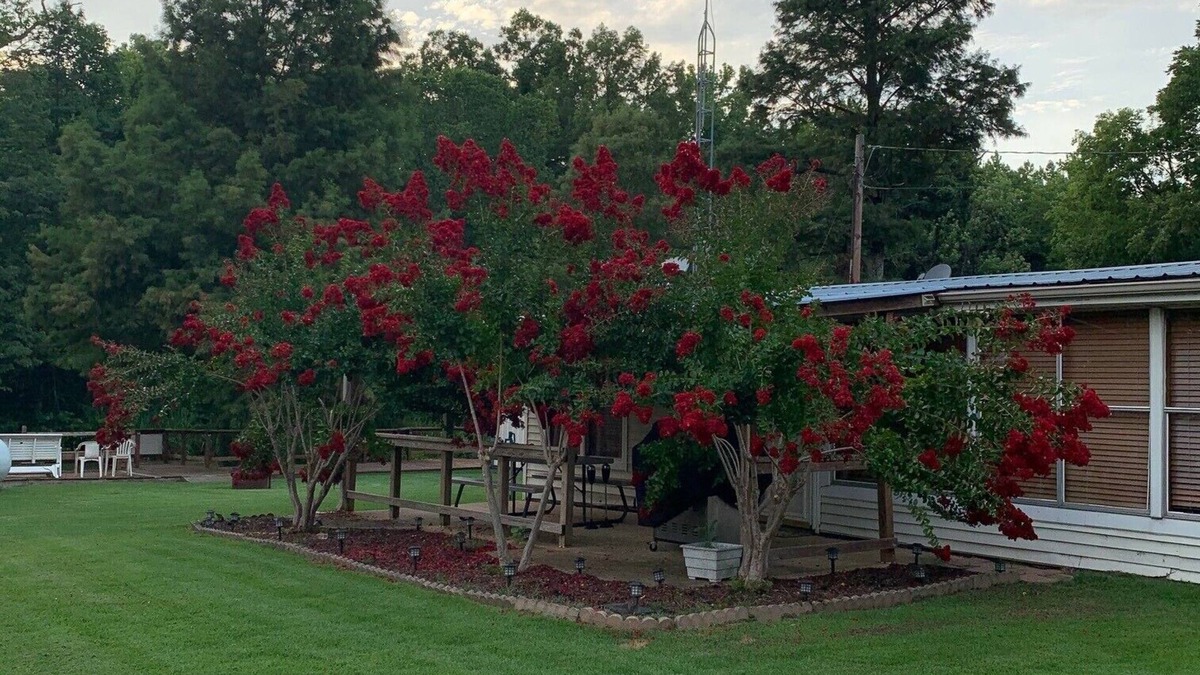 Wynnburg House | Lodging on Reelfoot Lake Upper Blue Basin at The Bayou Bungalow