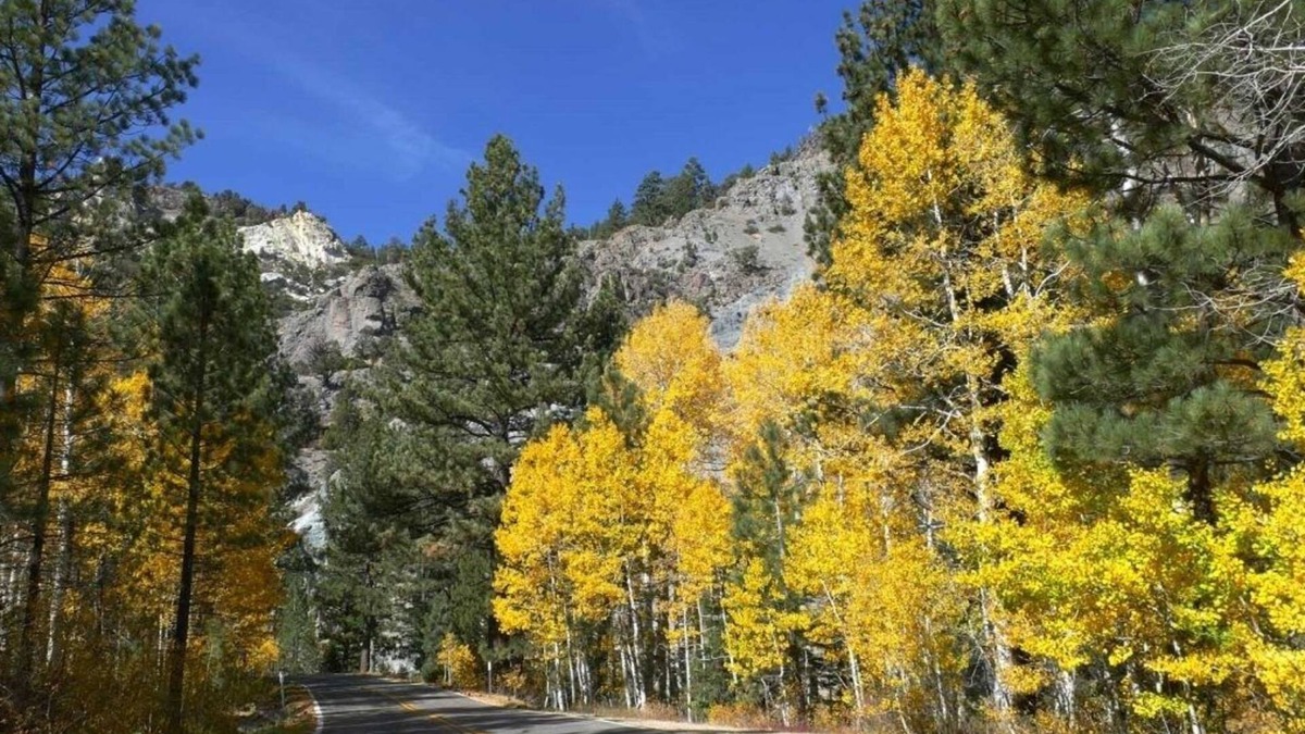 Bear Valley Condo | Loft Condo w/Bonus Area - Creekside #7 by Bear Valley Vacation Rentals
