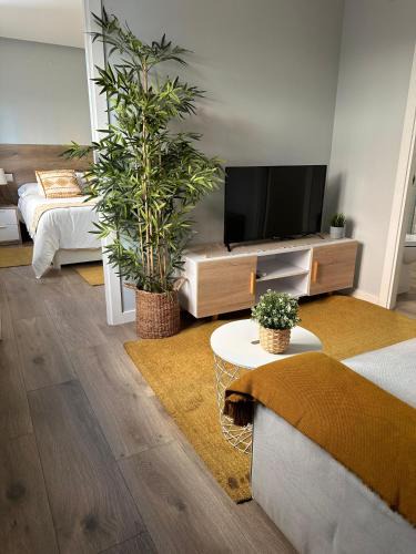 Pontevedra Apartment | Loft Peregrino
