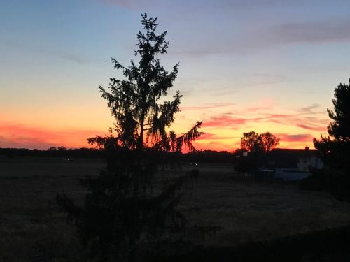 Hugelsheim Apartment | Loft Unterkunft in Hügelsheim