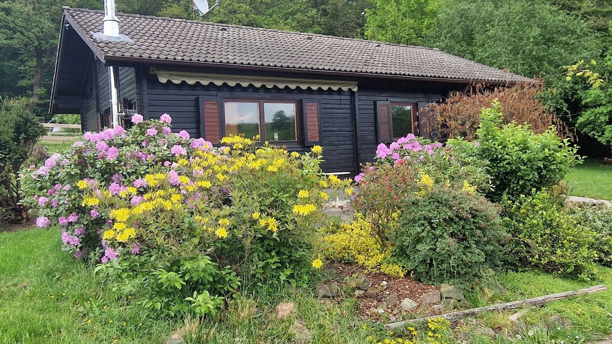 Erbach House | Log cabin on the edge of the forest