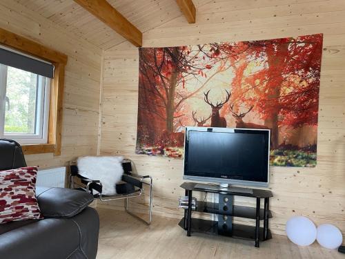 County Cork House | Log Cabin with Hot Tub Large Patio Near Cork city