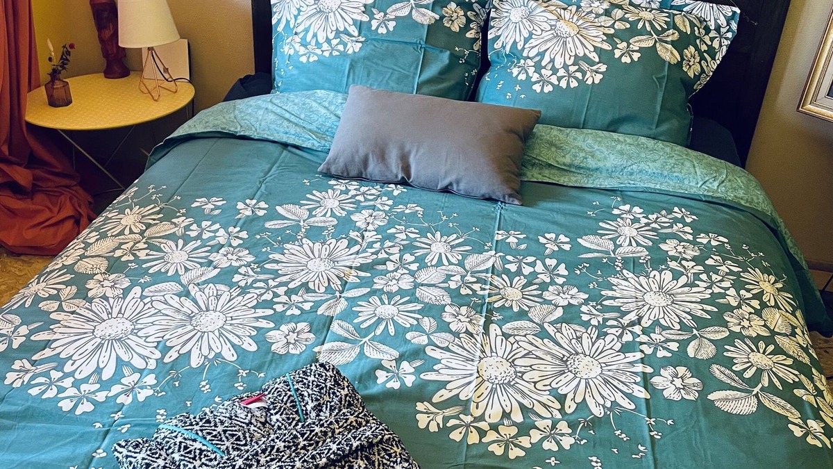 Illkirch-Graffenstaden Apartment | Logement Privé Grand Confort Proche Strasbourg Avec Jardin