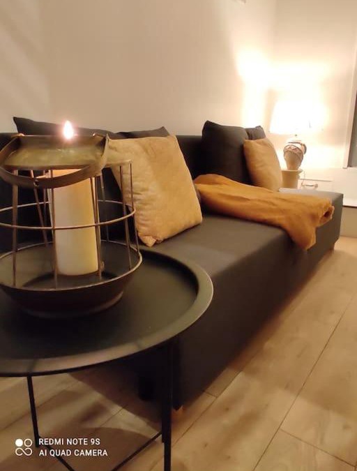Mezieres-sur-Seine Apartment | logement Mezzanine salon indépendant