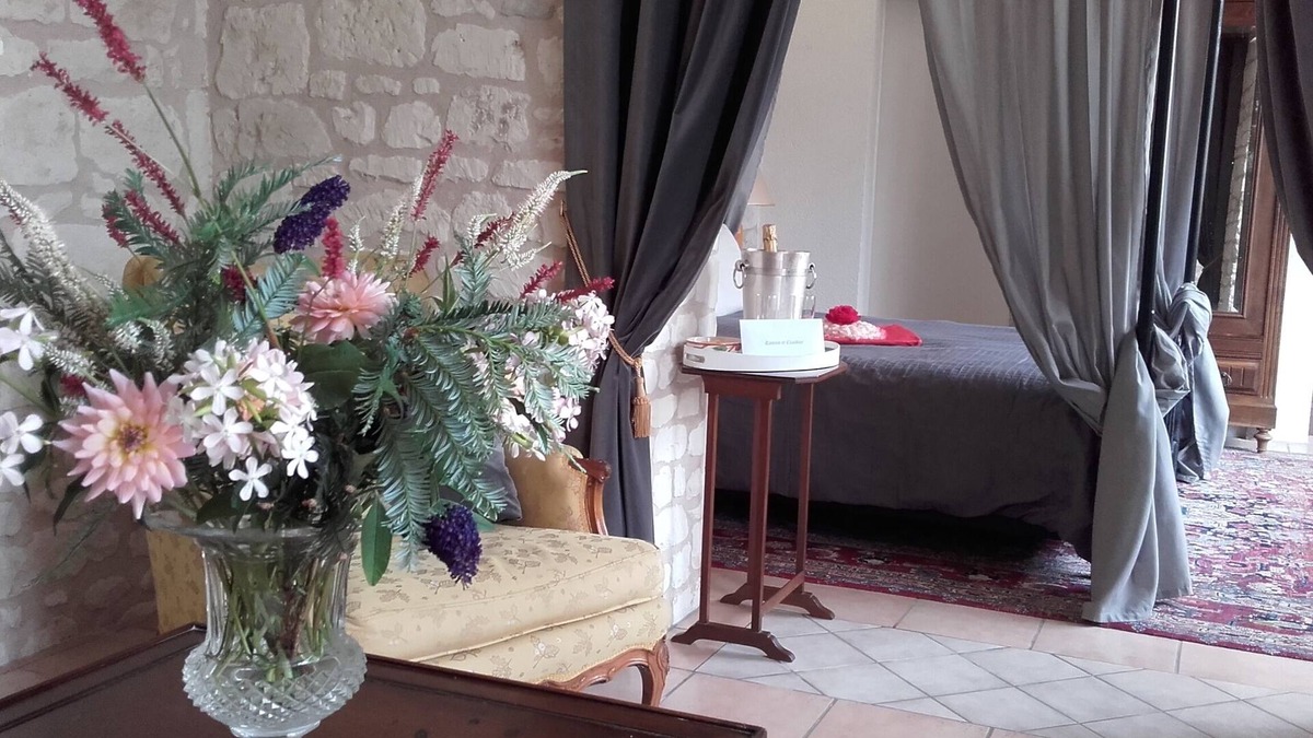 Bournand House | Loire Valley: Chateau de Bournand, nine acres park with pool, up to 18 guests
