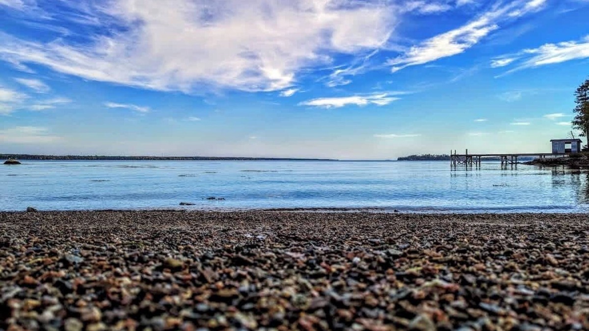 Gouldsboro House | Lone Pine Oceanfront Cottage