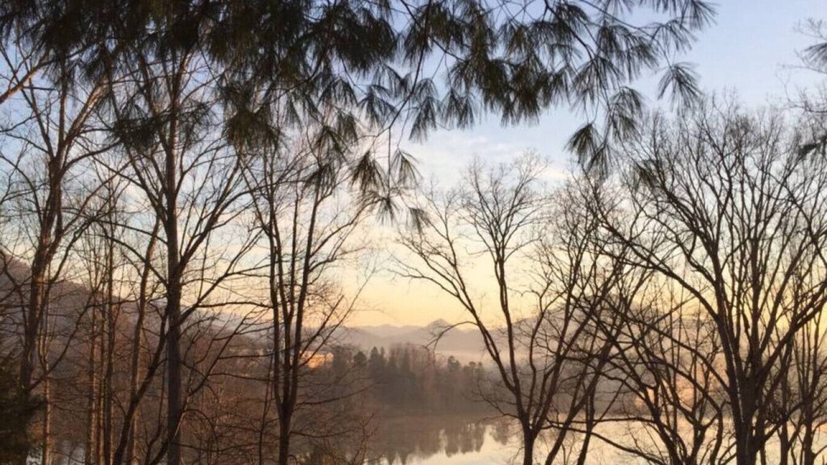 Lake Junaluska Apartment | Lone Star Retreat # 1-10 min to Waynesville & BR Pkwy-25 min to Biltmore Estate