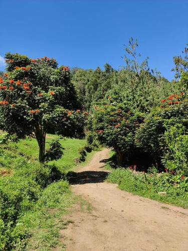 Periyur House | Lone Tree Creek