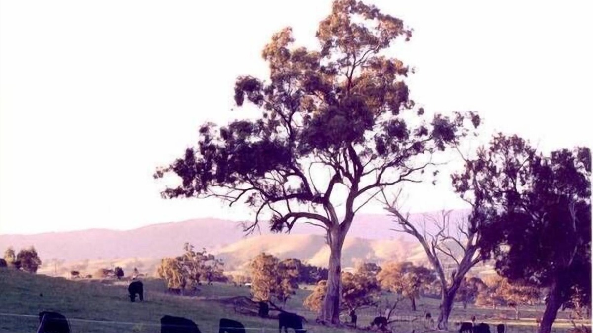 Yea House | Lorralynbra Holiday House