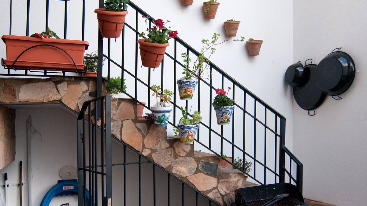 Puebla de Don Rodrigo House | Los Gañanes rural house