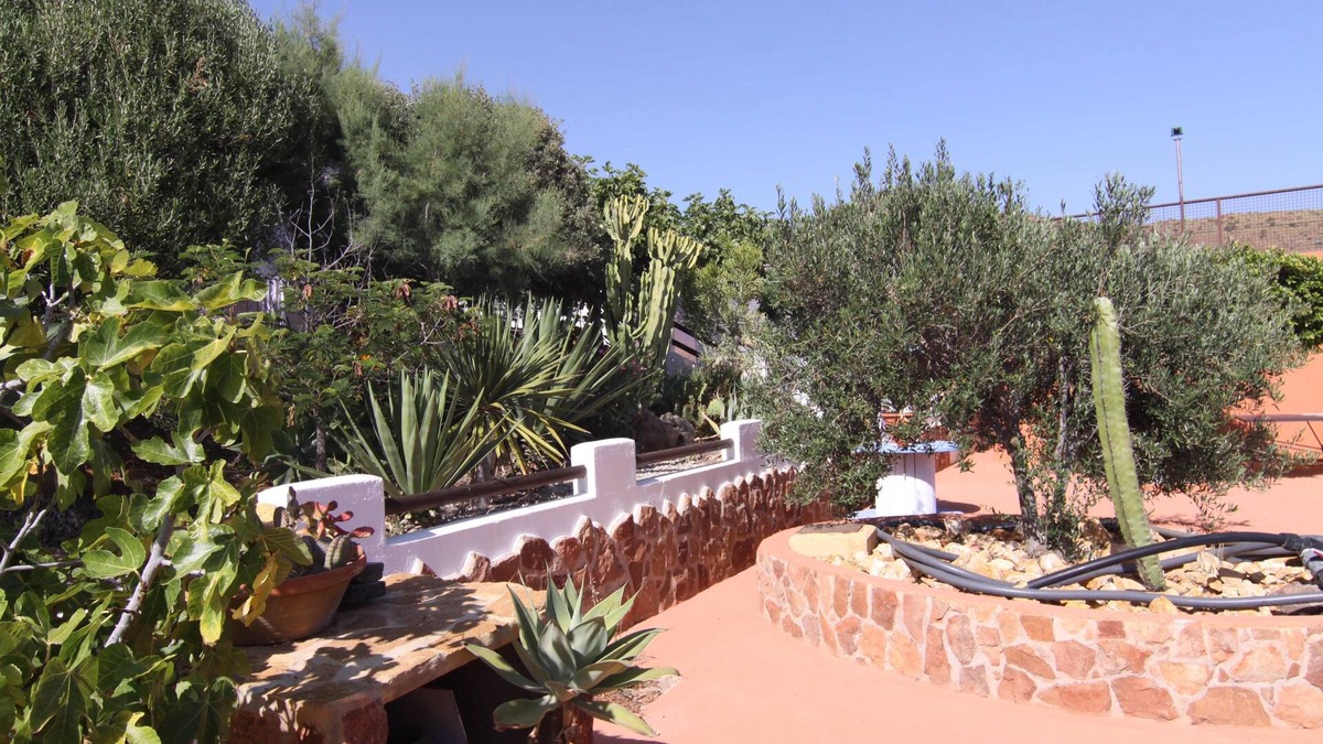 El Pozo de los Frailes Hostel | Los Palmitos Hospedería Rural