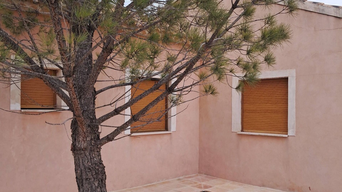 Archivel House | Los Rosales House