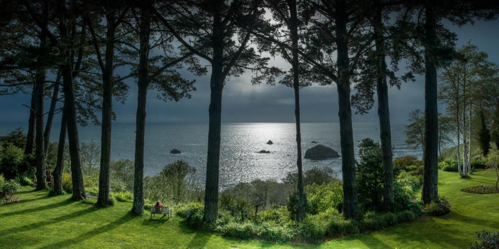 Trinidad Bed & Breakfast | Lost Whale Inn