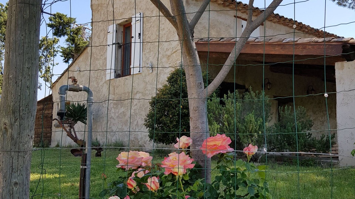 Caromb House | Louise's Cabanon "Between vineyards and Mt Ventoux