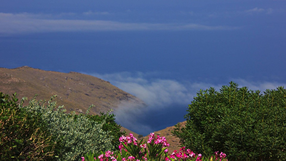 Kea House | Lovebirds Nest - A Petite Lodge Enjoying Garden And Sea Views