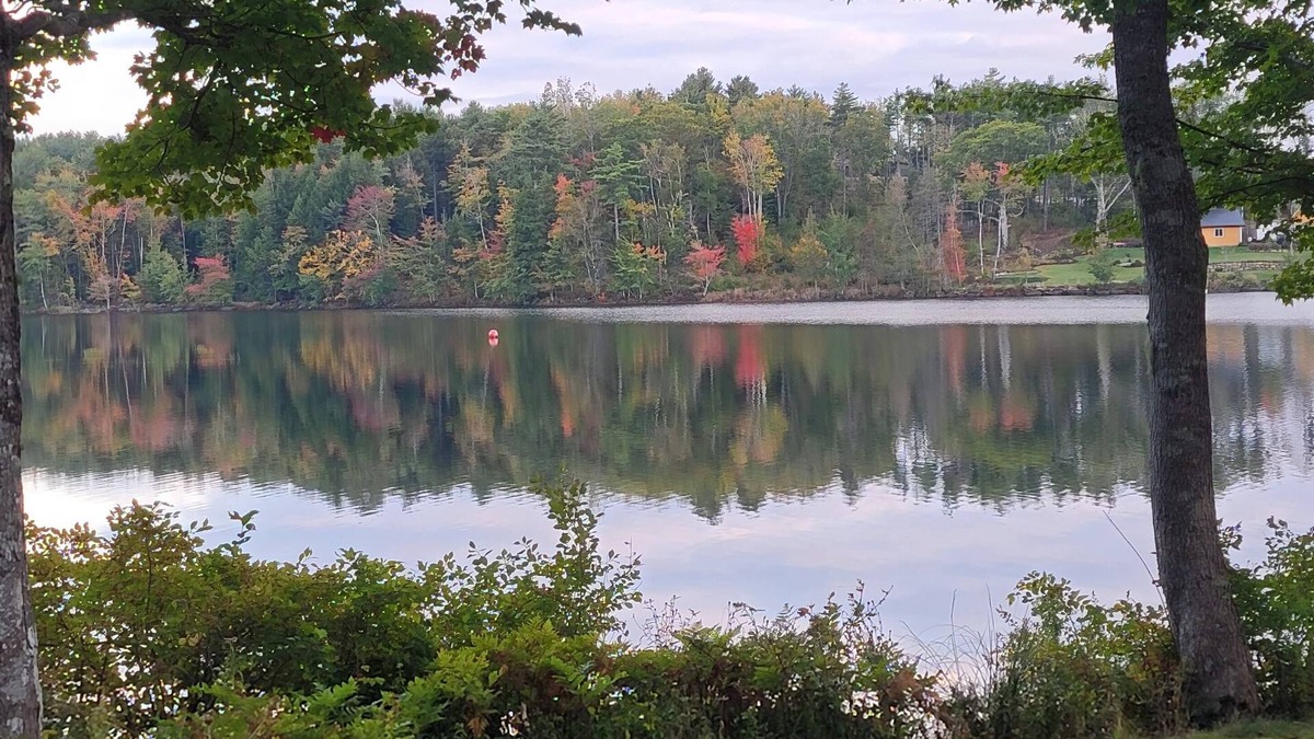 Conquerall Mills Apartment | Lovely 1-bedroom Apartment on Fancy Lake